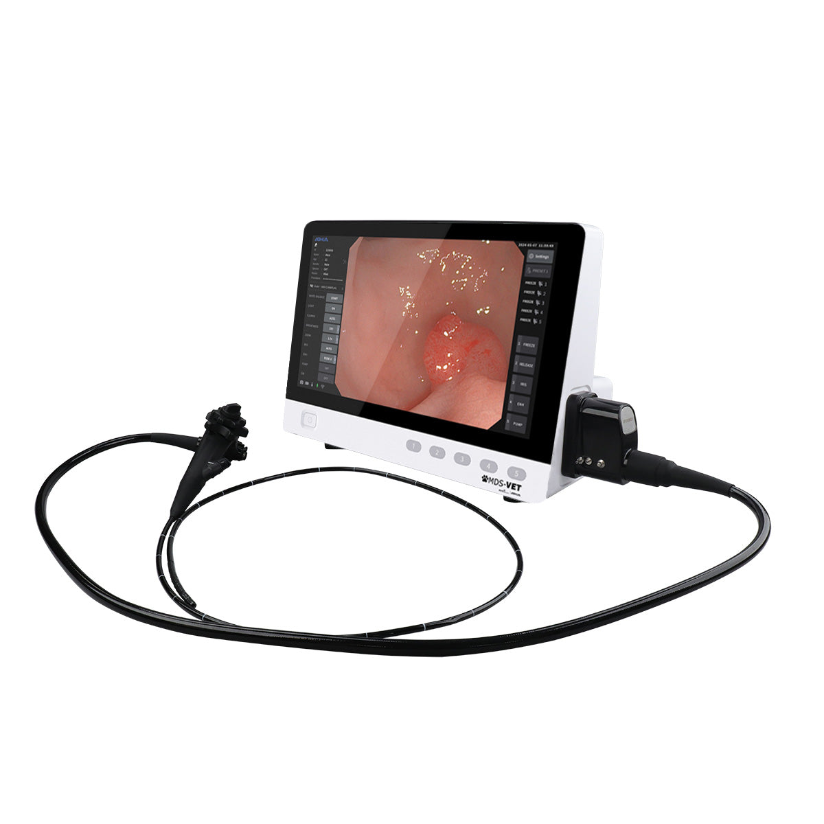 All-In-One Endoscopy System